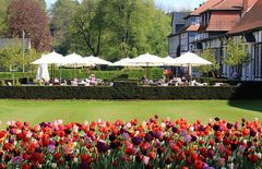 Gräflicher Park Bad Driburg II