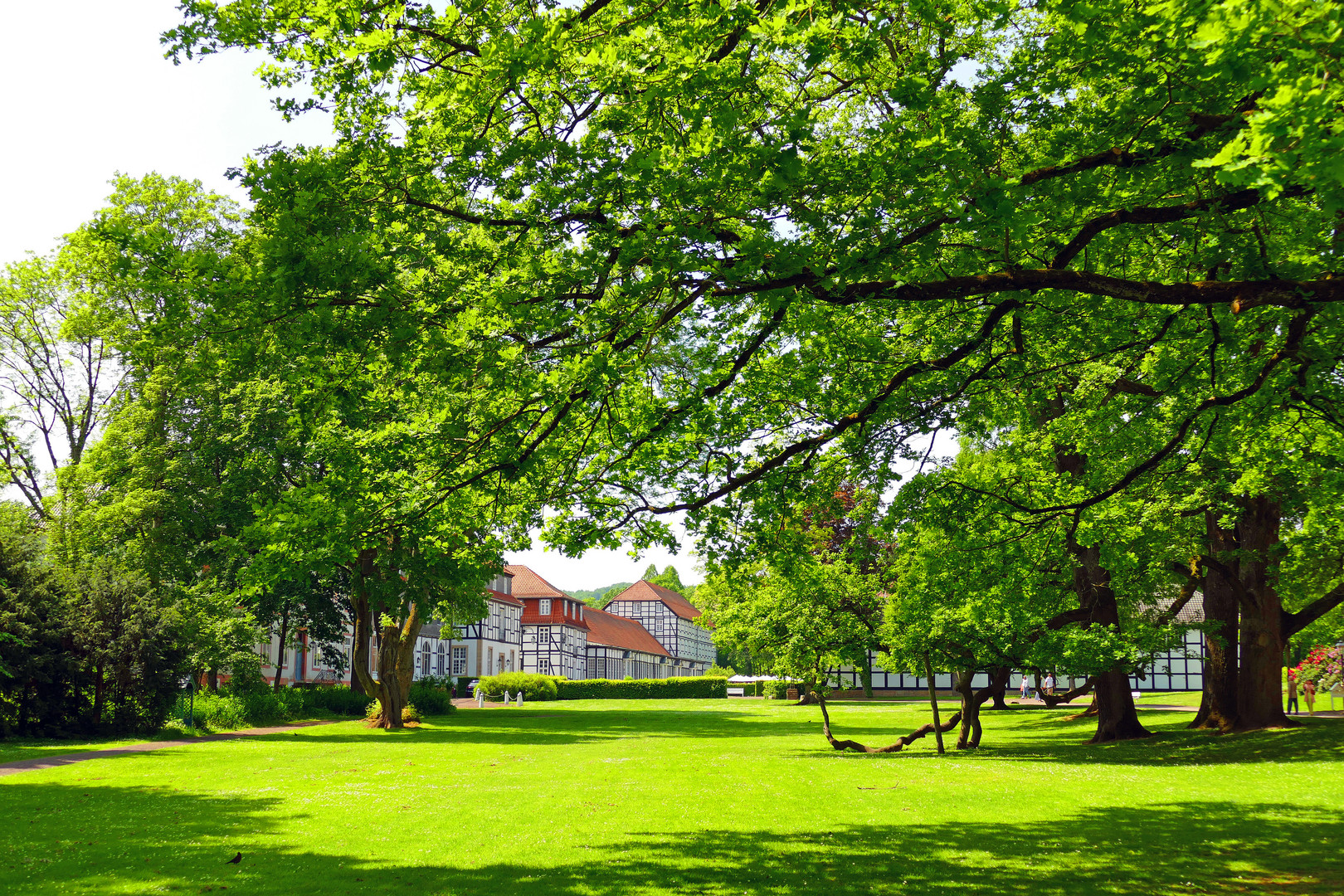 Gräflicher Park