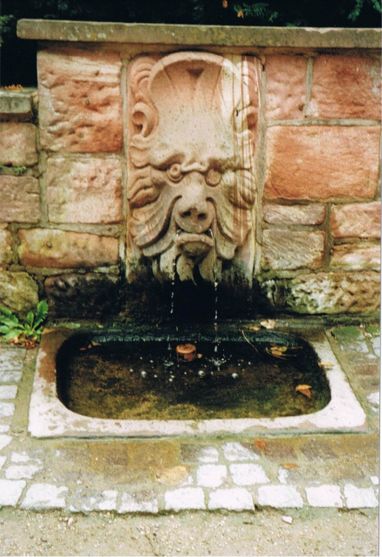 Grämlicher Wasserspeier im Aschaffenburger Schlosspark