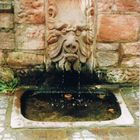 Grämlicher Wasserspeier im Aschaffenburger Schlosspark