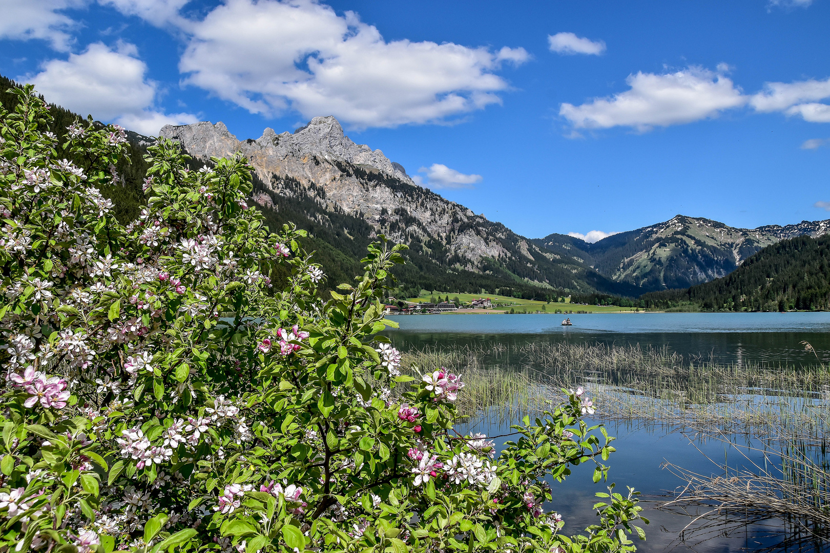 Grän - Haldensee ...