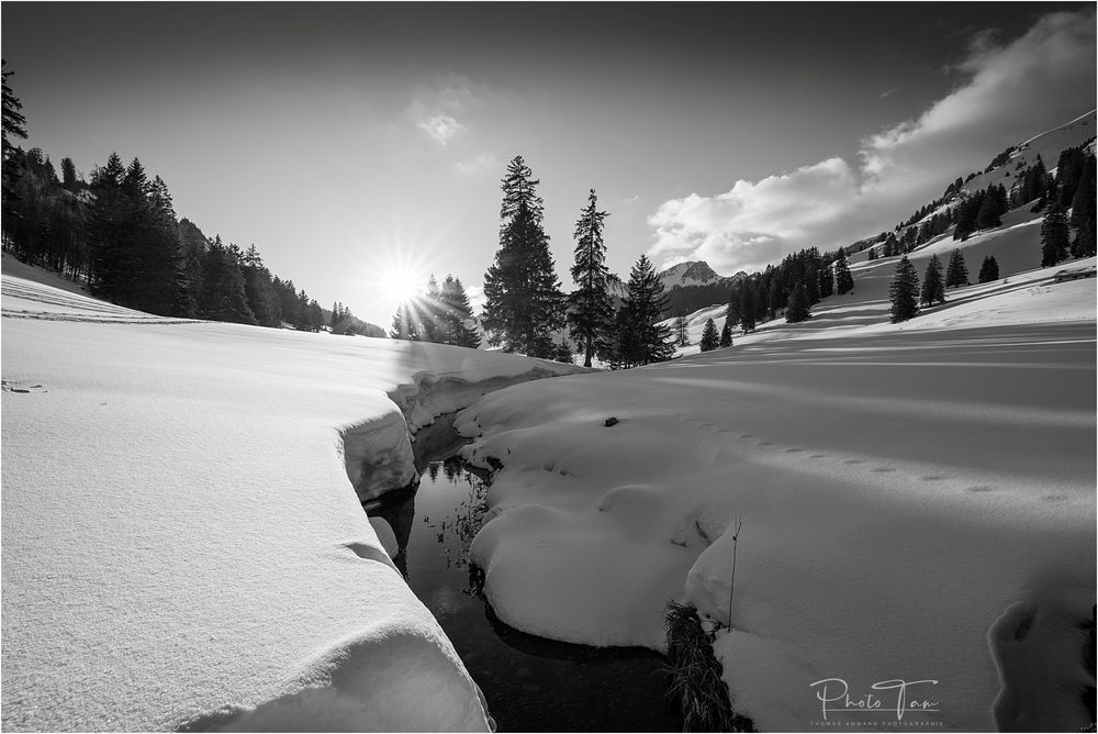 Gräppelensee