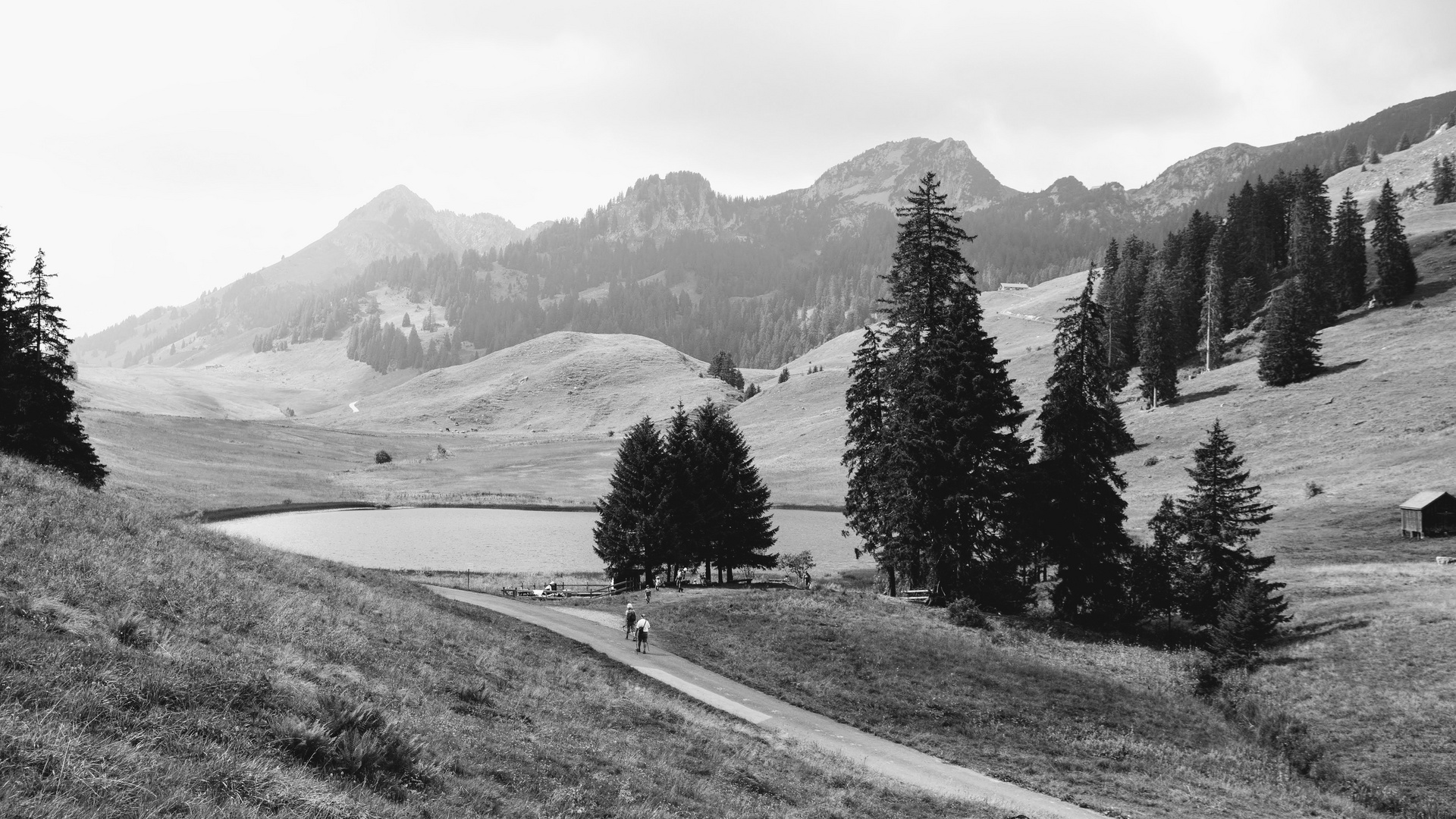 Gräppelensee in schwarz weiß