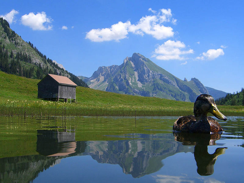 Gräppelensee mit Wildhauser Schafberg