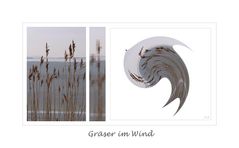 Gräser im Wind....