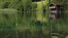 Gräser mit Hütte am See