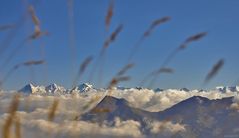 Gräser Perspektive auf dem Stockhorn