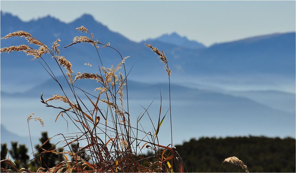 GRÄSER-RITTNERHORN