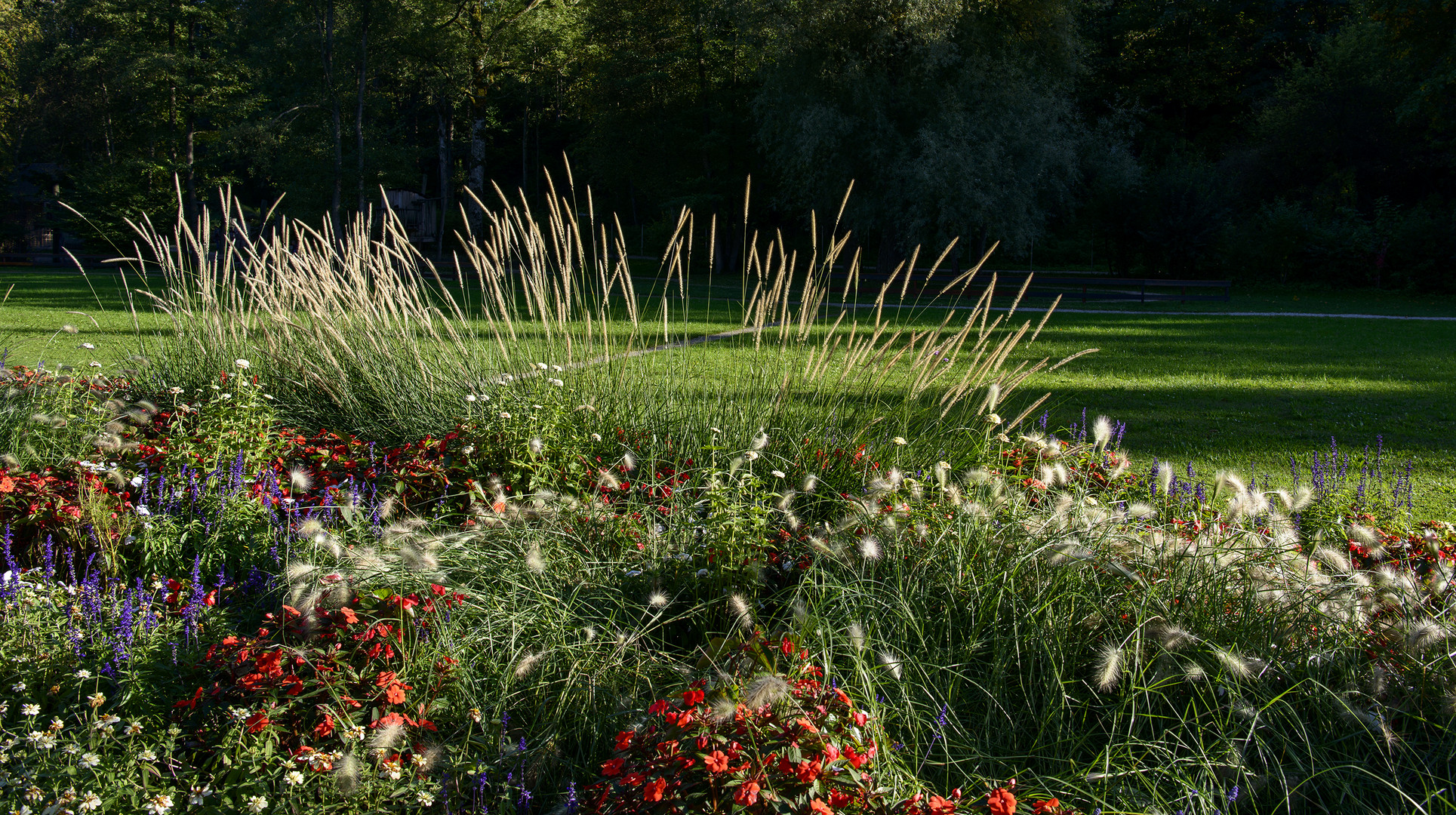 Gräser u. Blumen