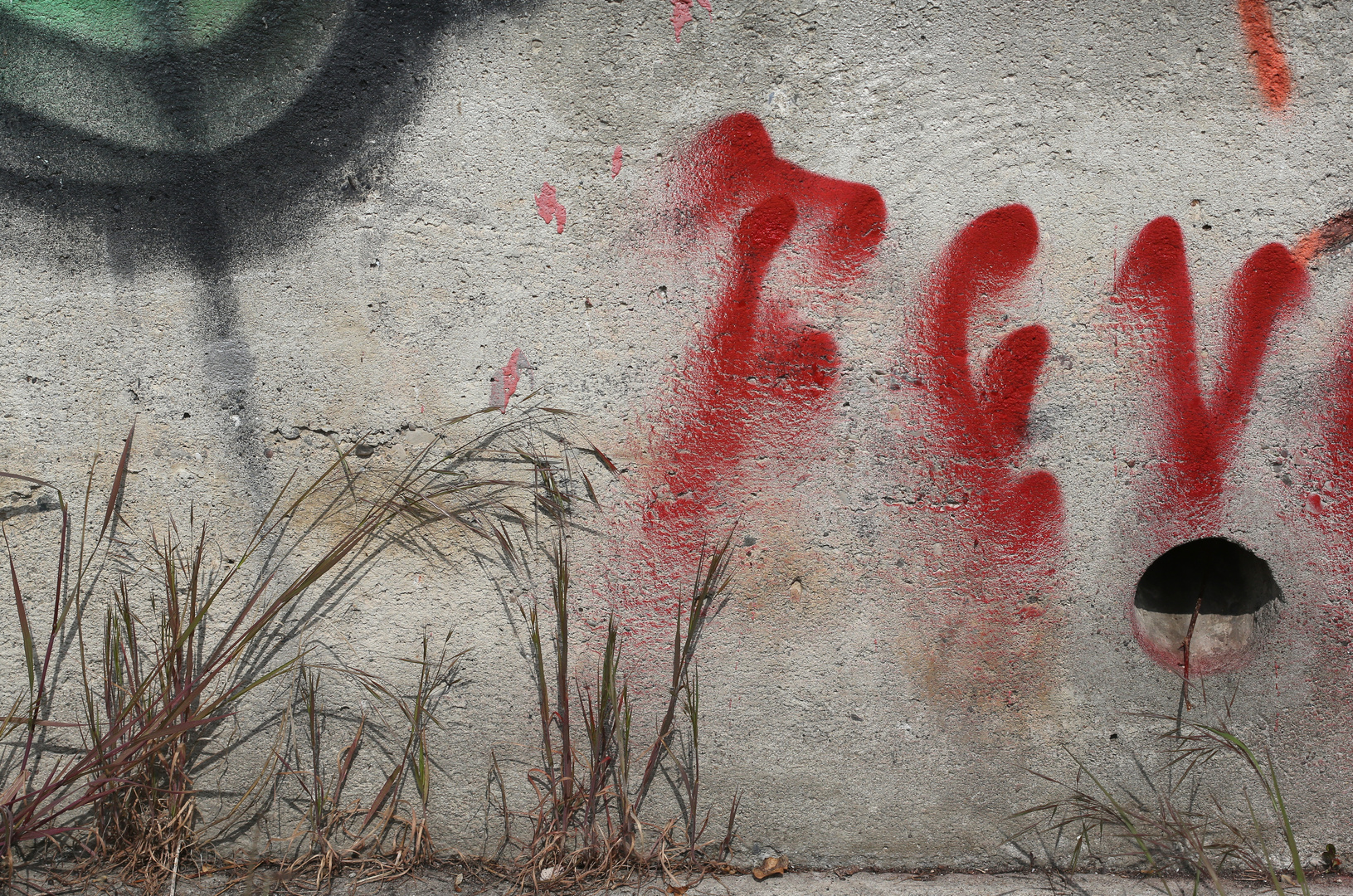 Gräser und Graffiti