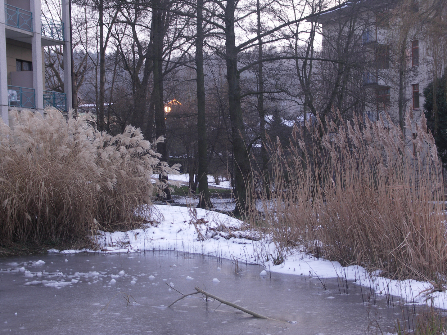 Gräser und Häuser