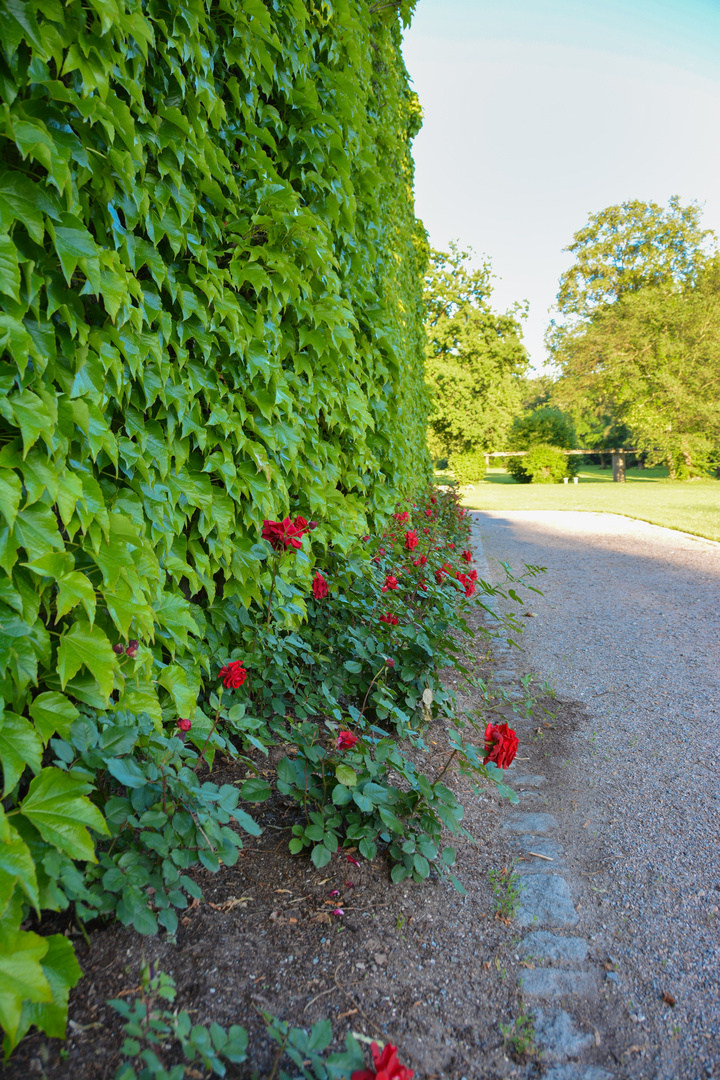 Graf von Faber Castell Schloss Park (2)