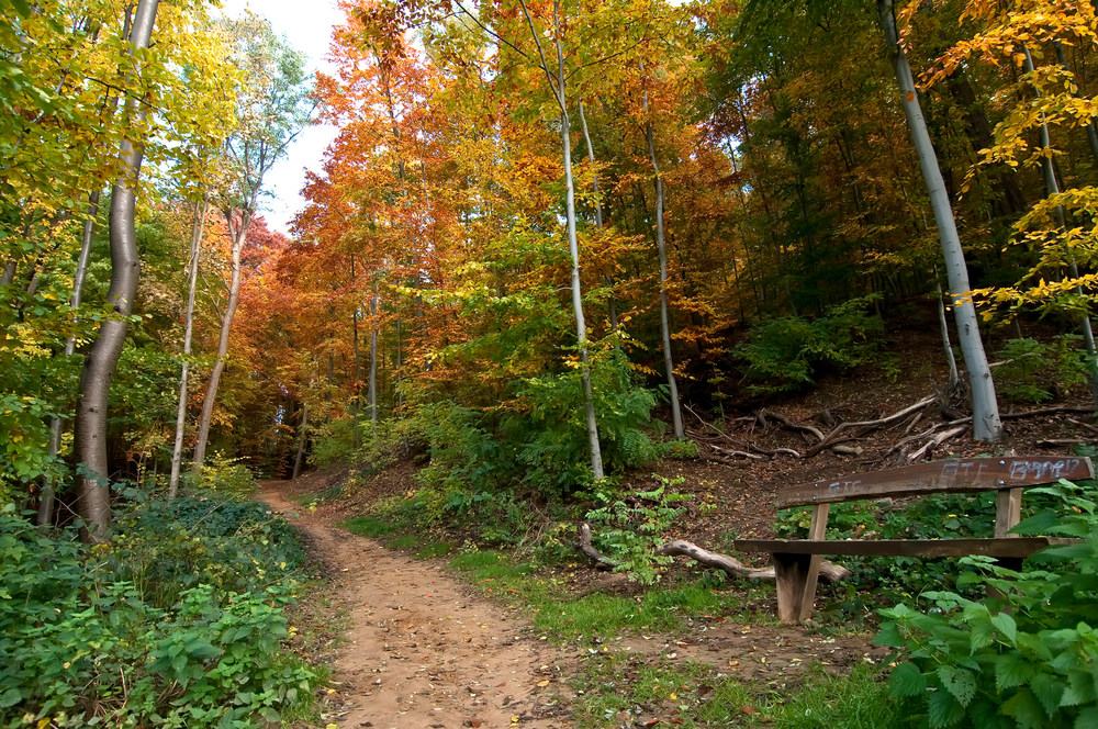 Grafenberger Wald 2 Düsseldorf