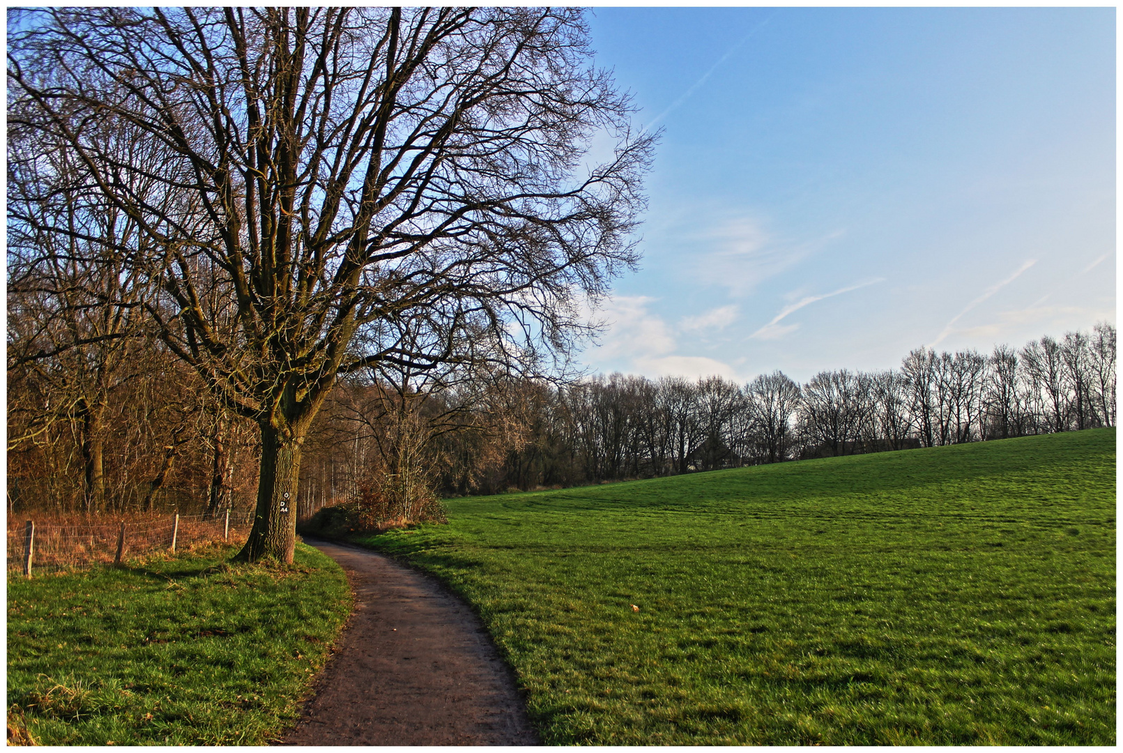 Grafenberger Wald - Düsseldorf