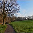 Grafenberger Wald - Düsseldorf