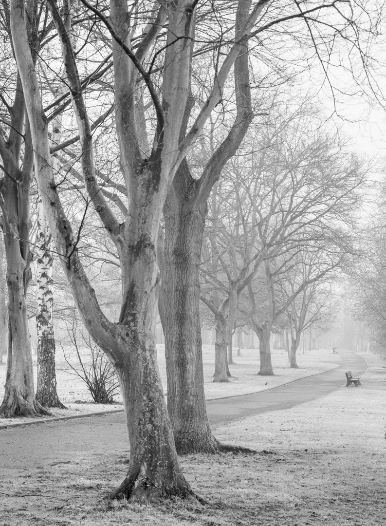 Grafenwerth bei Nebel