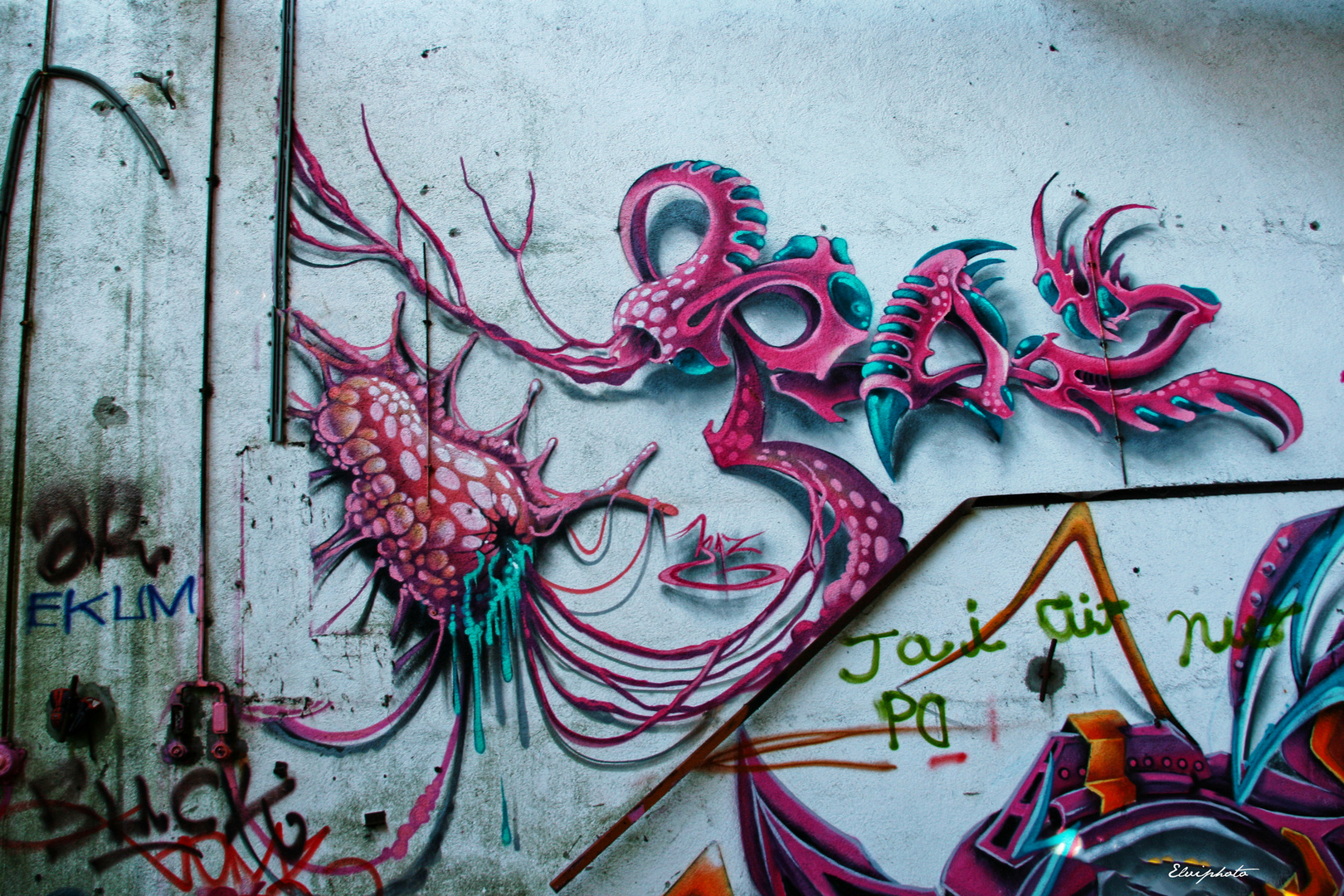 Graff - 