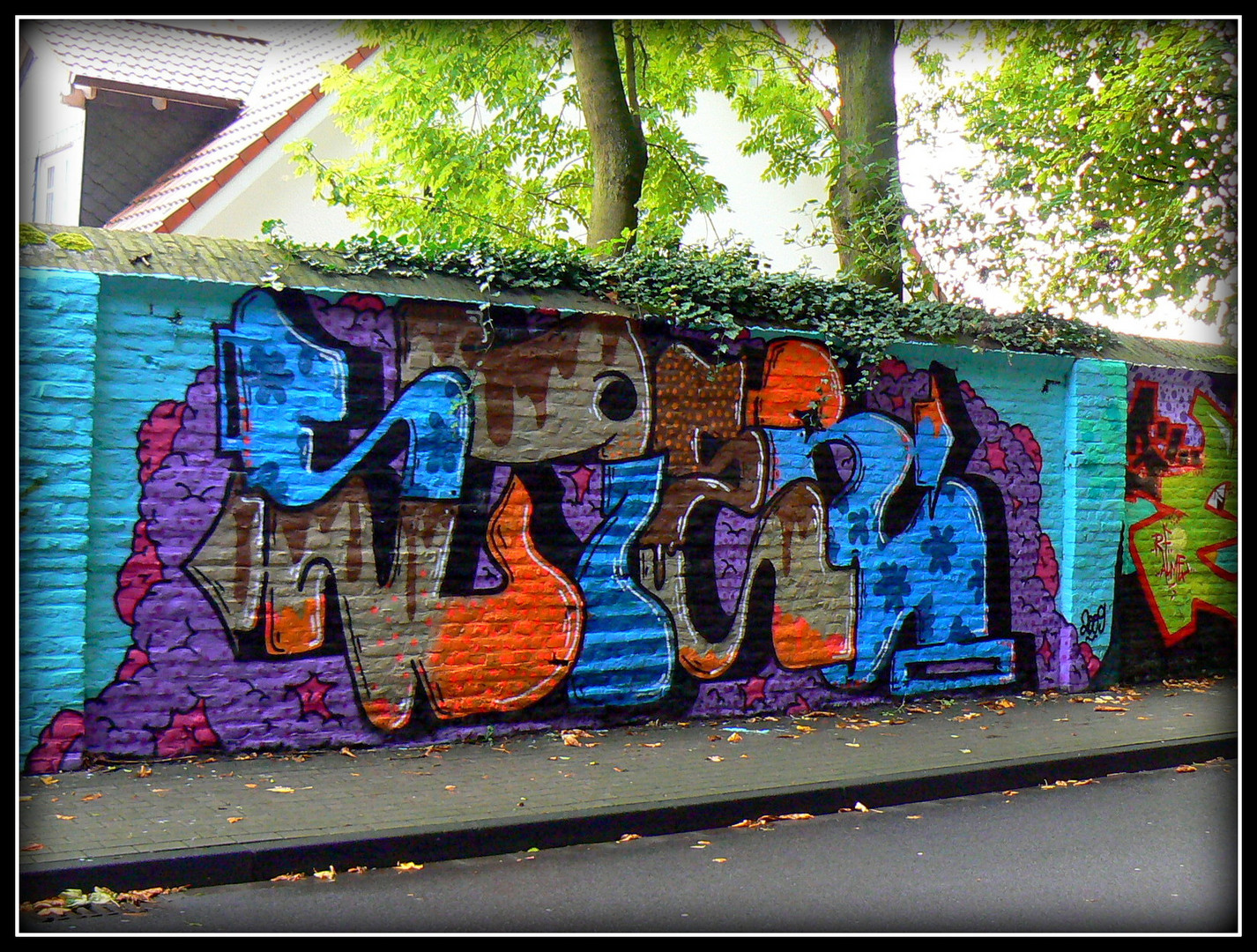 GRAFF - SAXON .