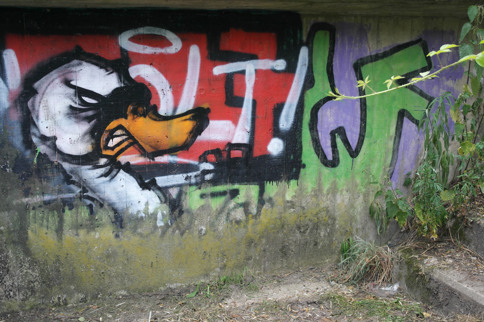 Graffiti