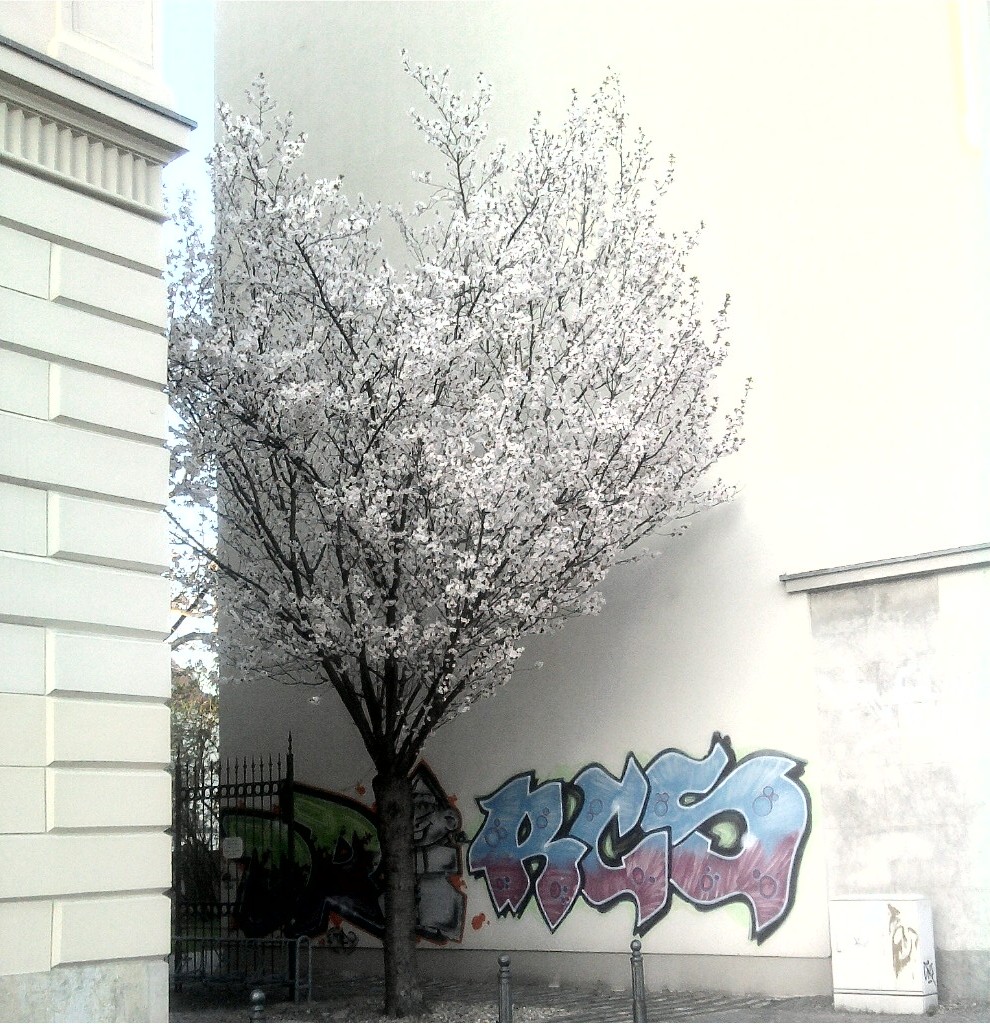 Graffiti am Fürstenhof in der Leipziger Innenstadt