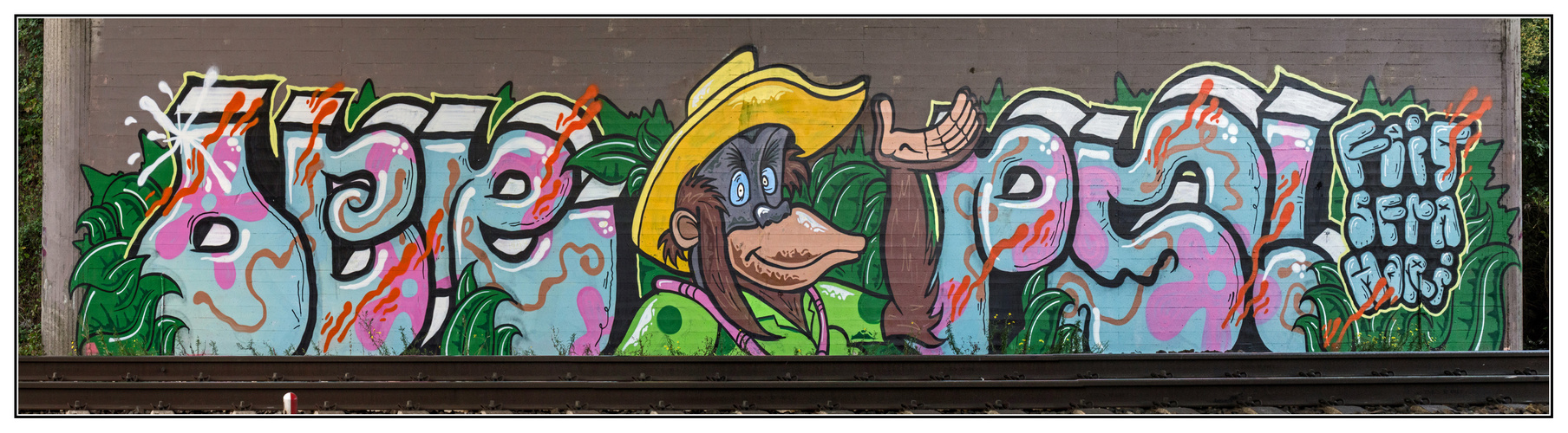 Graffiti an der Eisenbahnbrücke