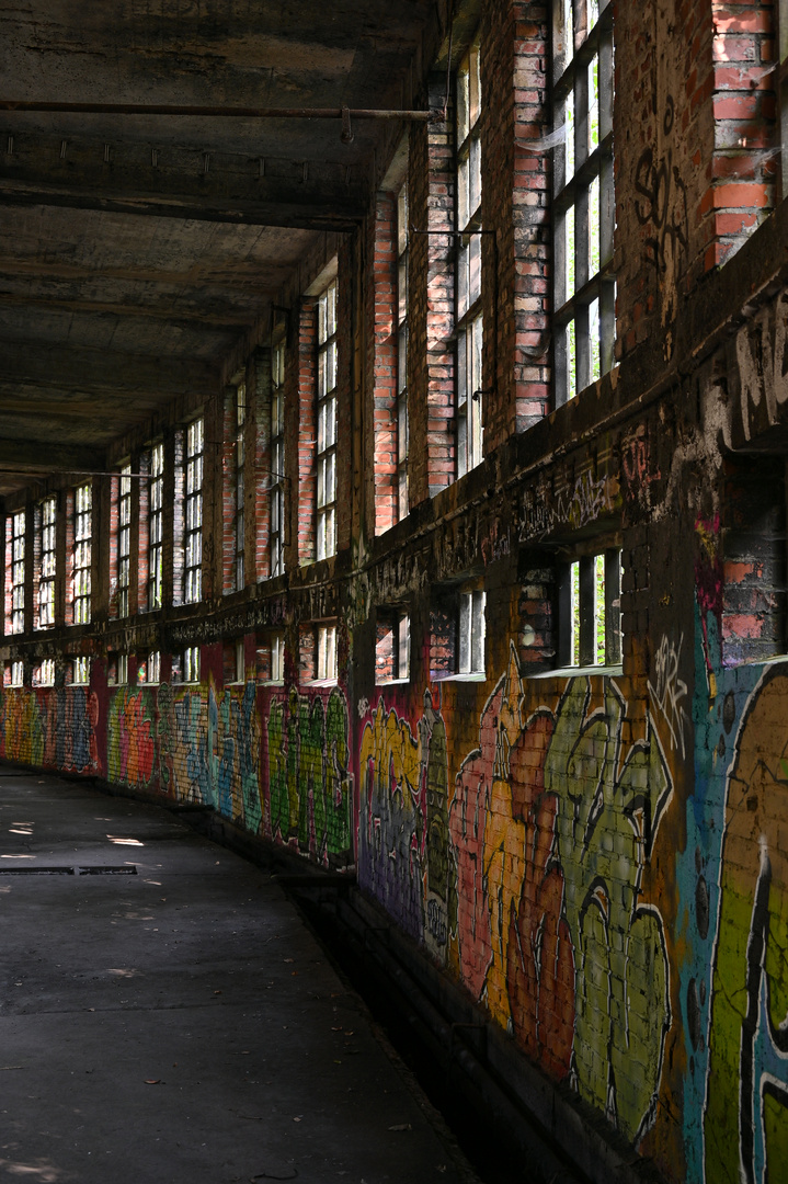 Graffiti an Fensterfront