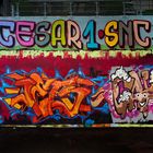 Graffiti an Skaterbahn Heidelberg--2