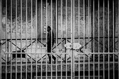 graffiti and bars