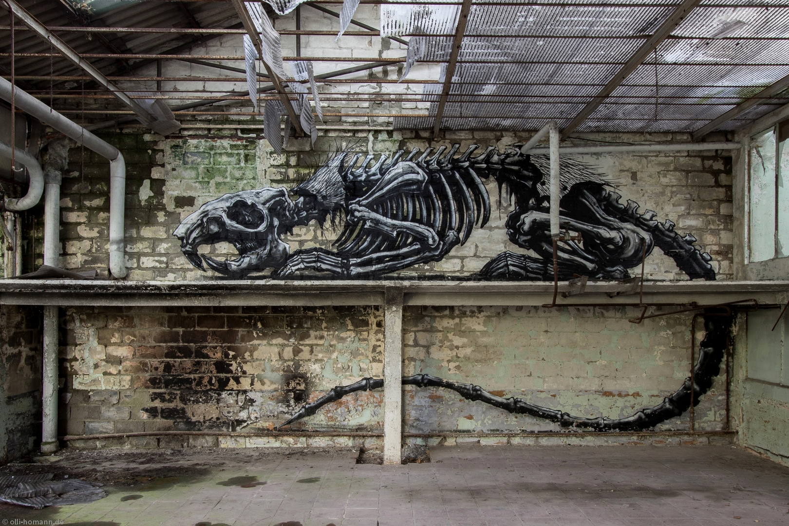 Graffiti by ROA.