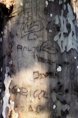 Graffiti del terzo millennio