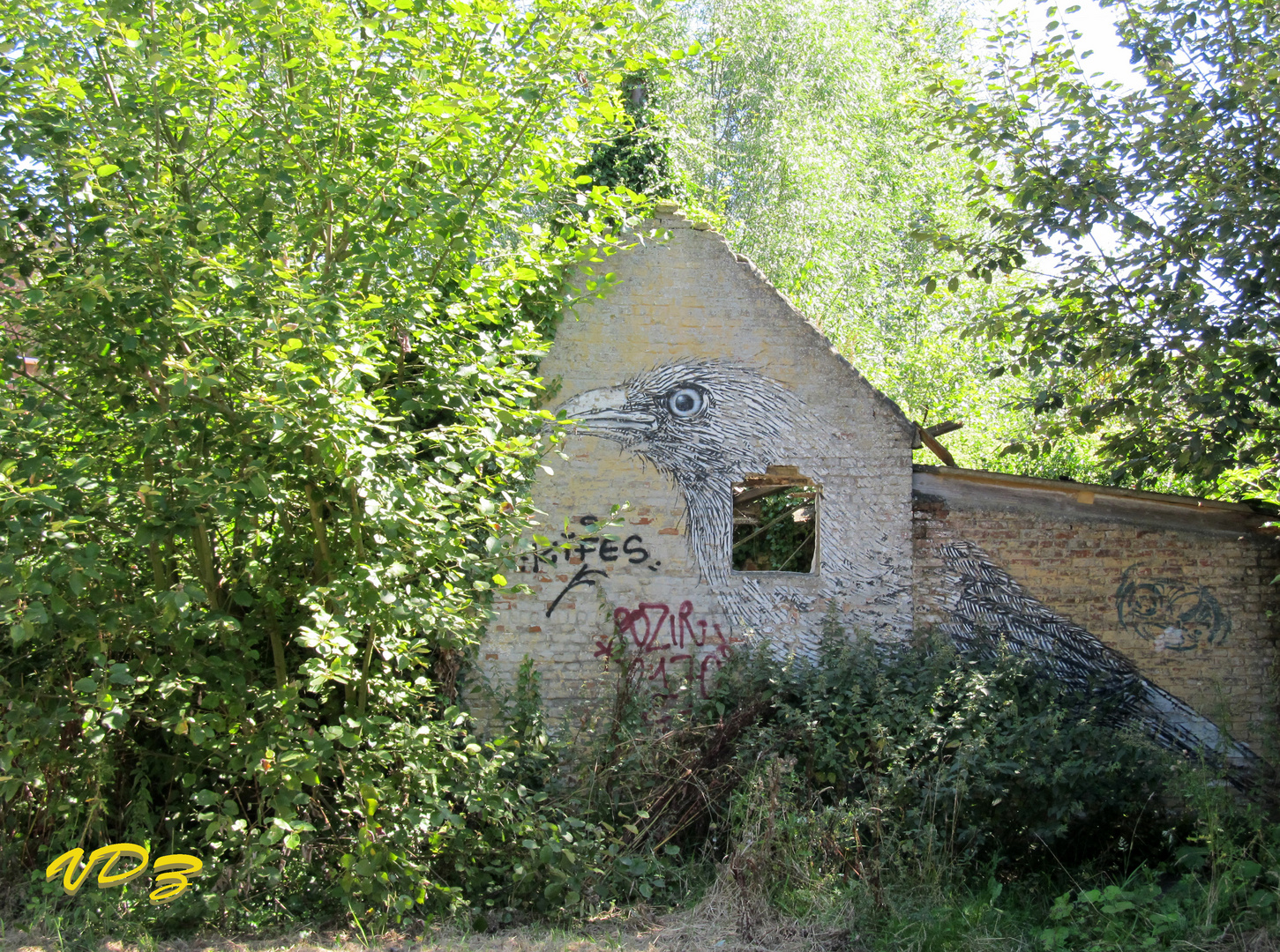 Graffiti in dorpje Doel (B)