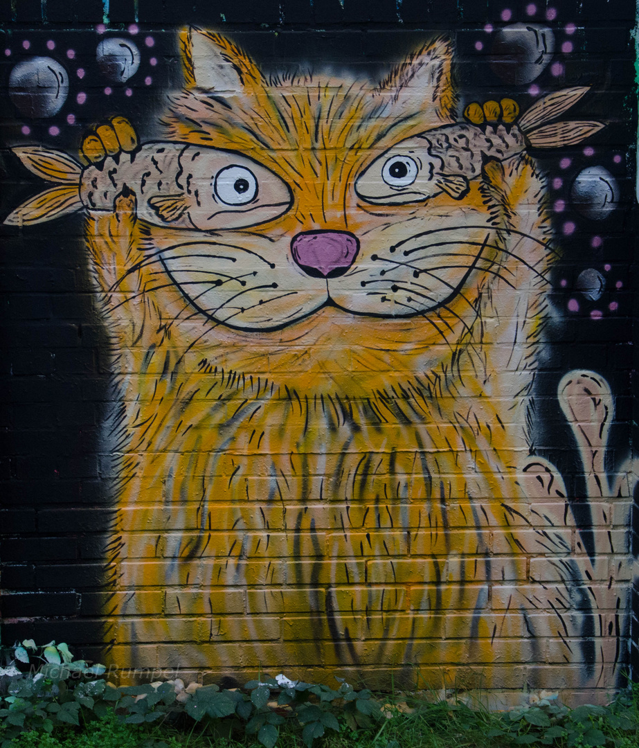 Graffiti Katze 