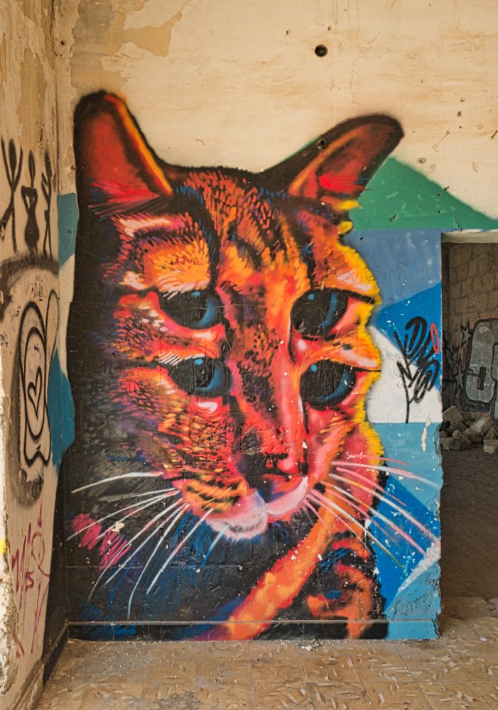 Graffiti Katze