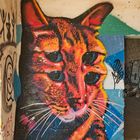 Graffiti Katze