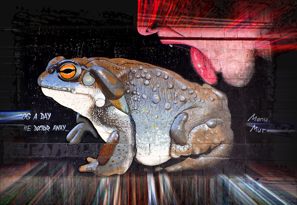 Graffiti ( kissing a frog )