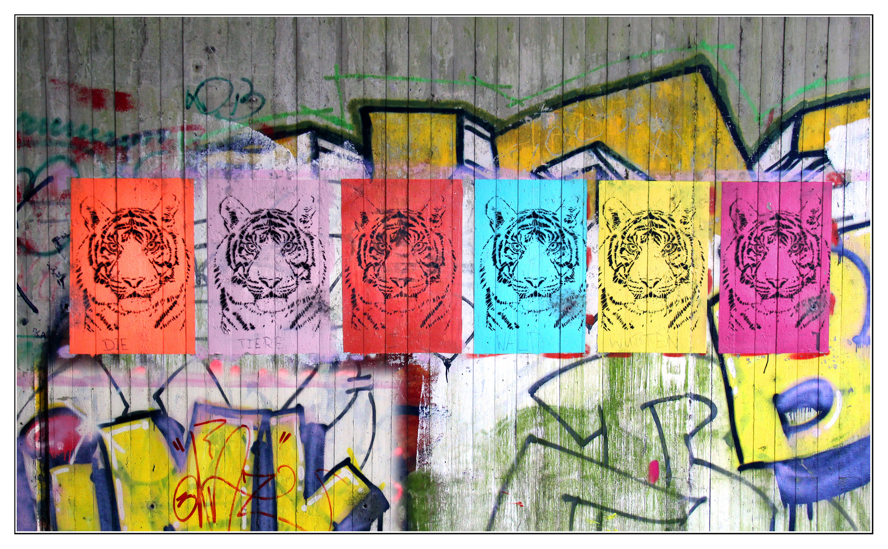 Graffiti mit Tiger