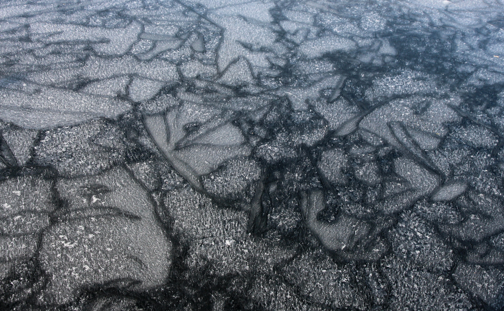 graffiti on ice...