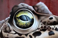 Graffiti Plus , im Auge des Frosches .