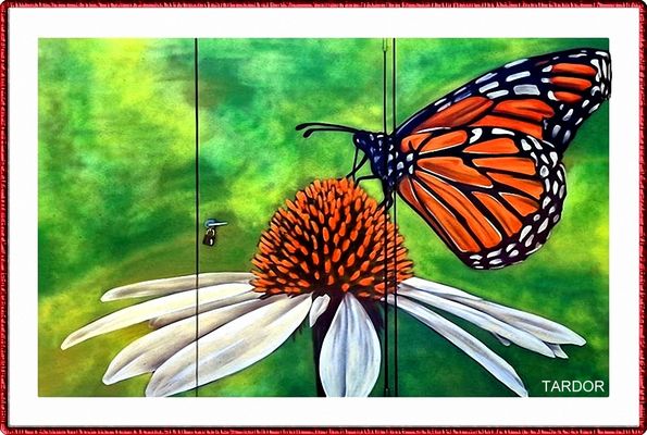 graffiti TARDOR 2024*