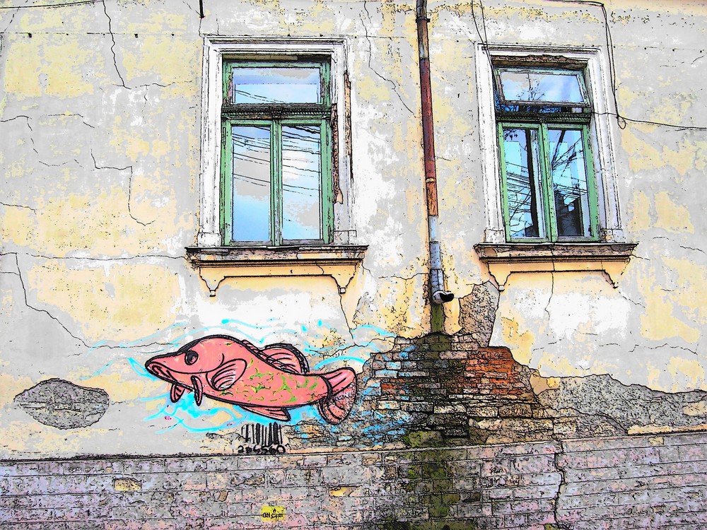 Graffitifisch