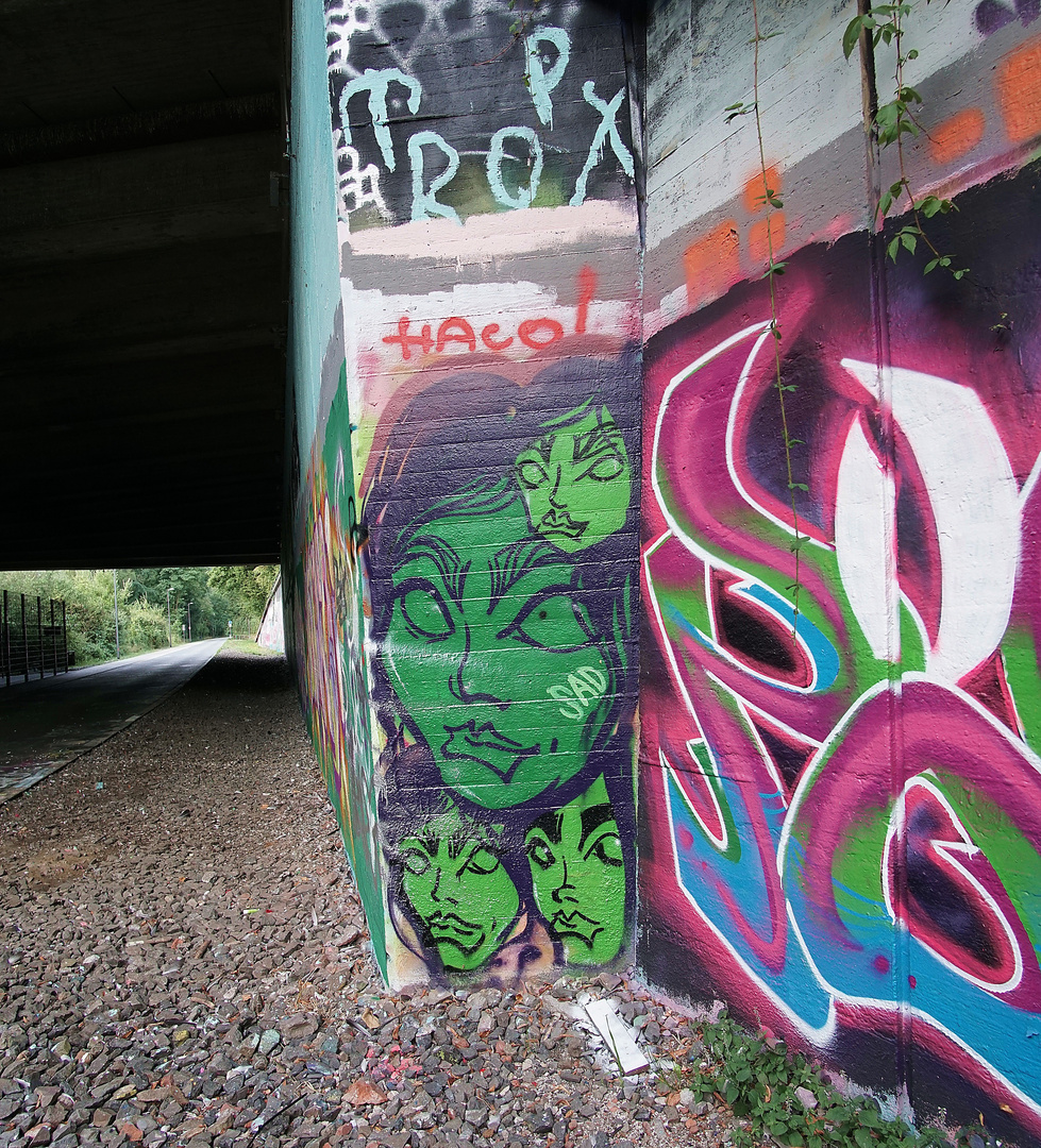 Graffitis an der Nordbahntrasse