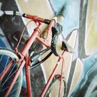 Graffito Bike