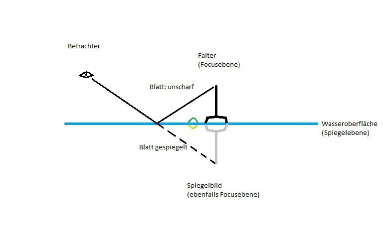 Grafik Spiegelung