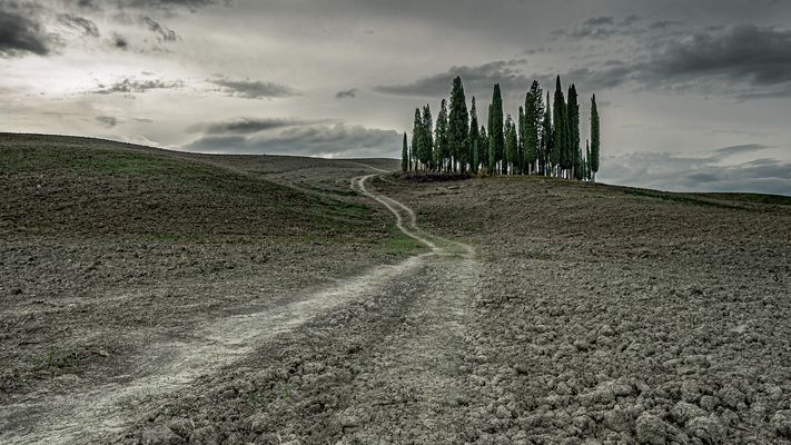 Grafische Toskana, ...