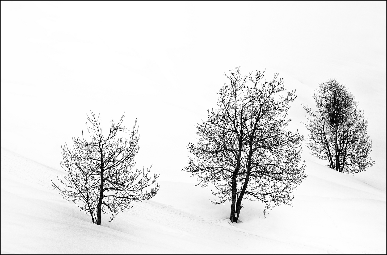 Grafismo sulla neve