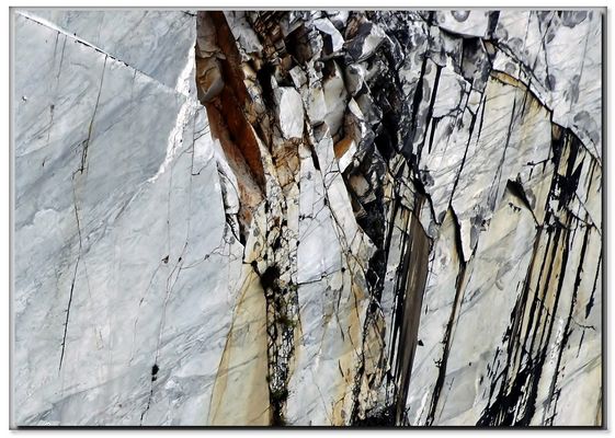 grafitti della natura...