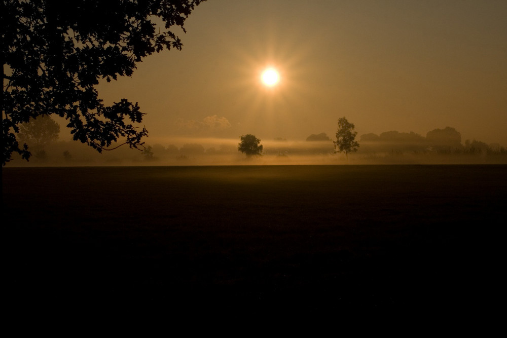 Grafschafter Morgengrauen