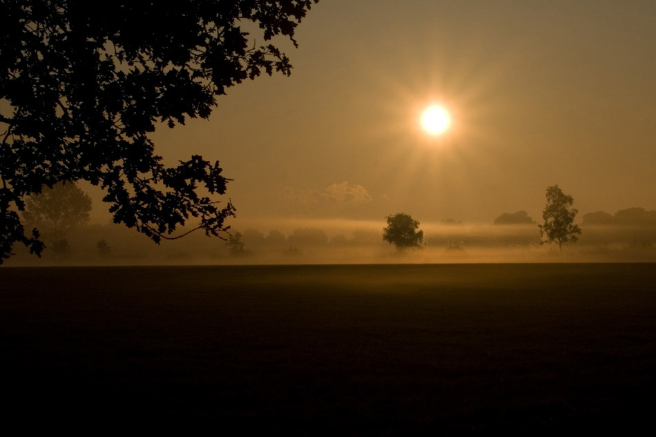 Grafschafter Morgengrauen (Sonne im Goldenen Schnitt)