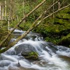 Graggerschlucht 1