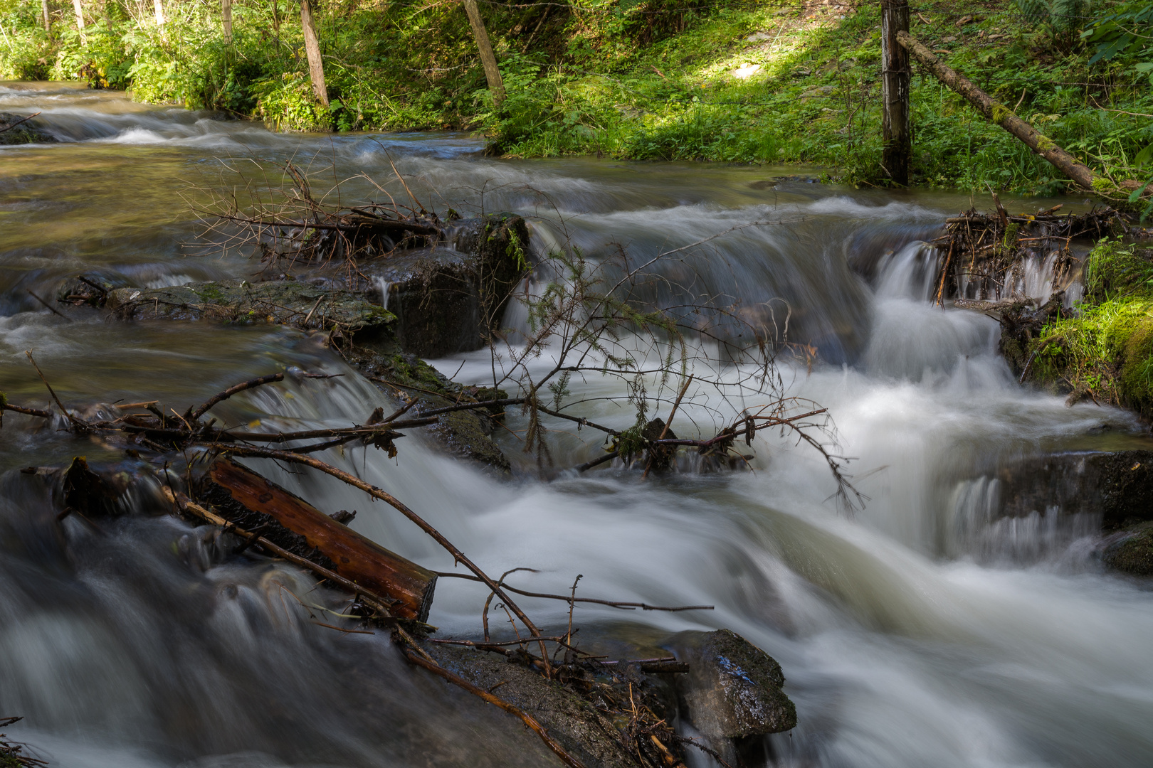 Graggerschlucht Herbst